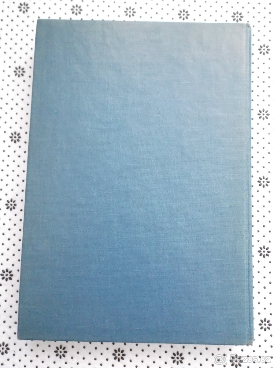 Příběhy bájné Indie - 9