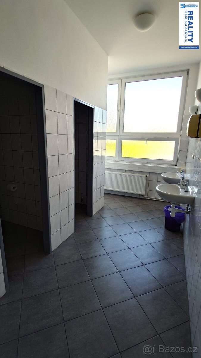 Pronájem kanceláří s parkováním, 235 a 257m² - Lišov, Hůreck - 9