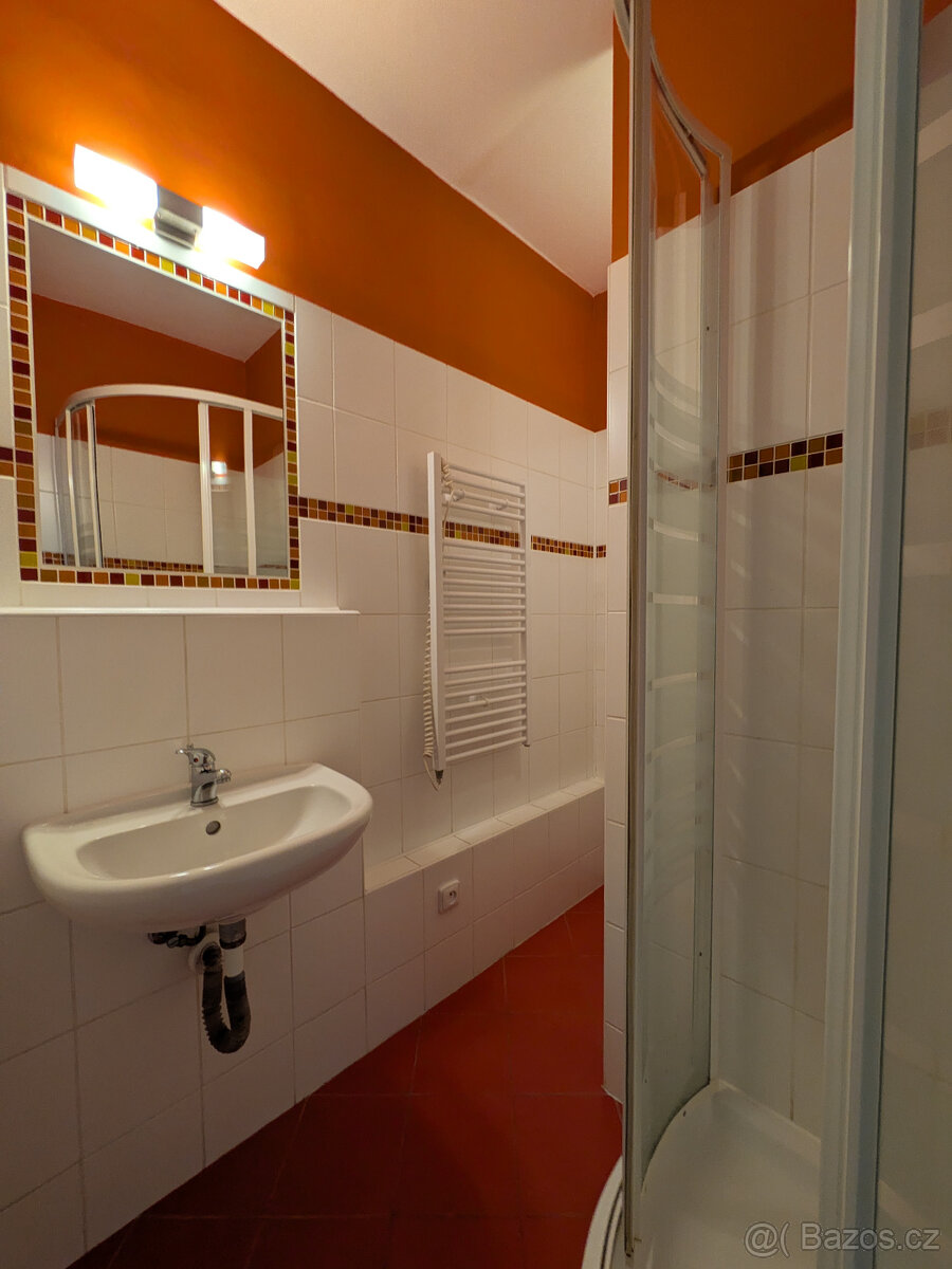 Byt 1+1 Ostrava-Poruba M. Krásové - 9