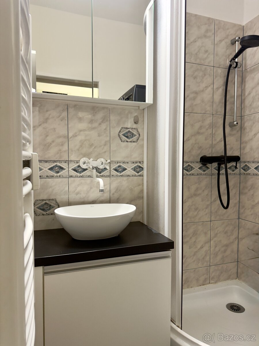 Prodej bytu o celkové ploše 30m2 v Hrušovanech u Brna - 9