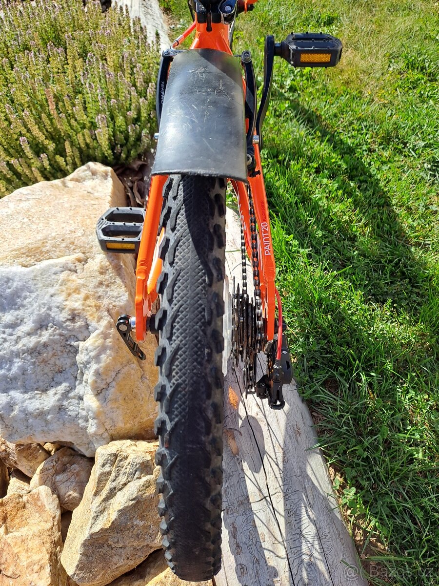 Superior Paint 20" - TOP STAV - 9