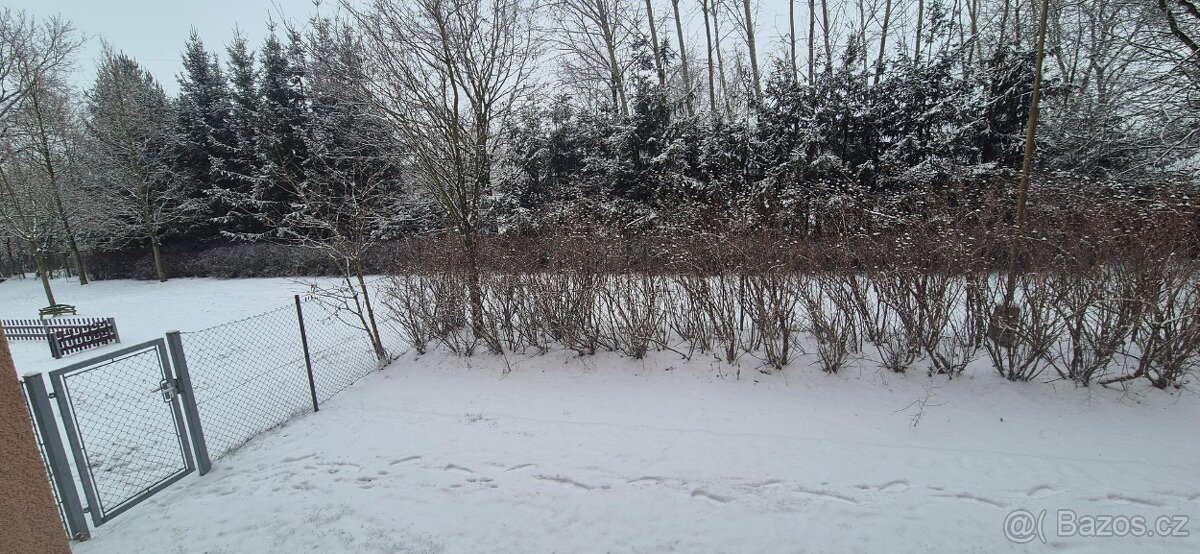 Prodej družstevního bytu 1+1 v Turnově - 9