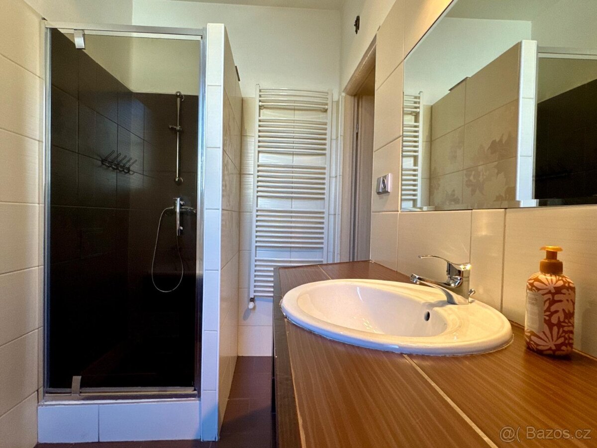 Pronájem bytu 3+1 106m2 - 9