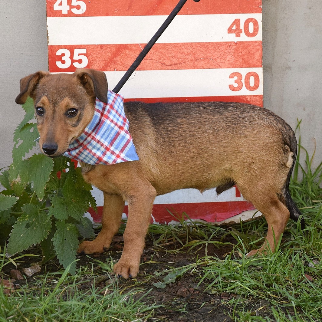 Jeremy hledá domov - 9