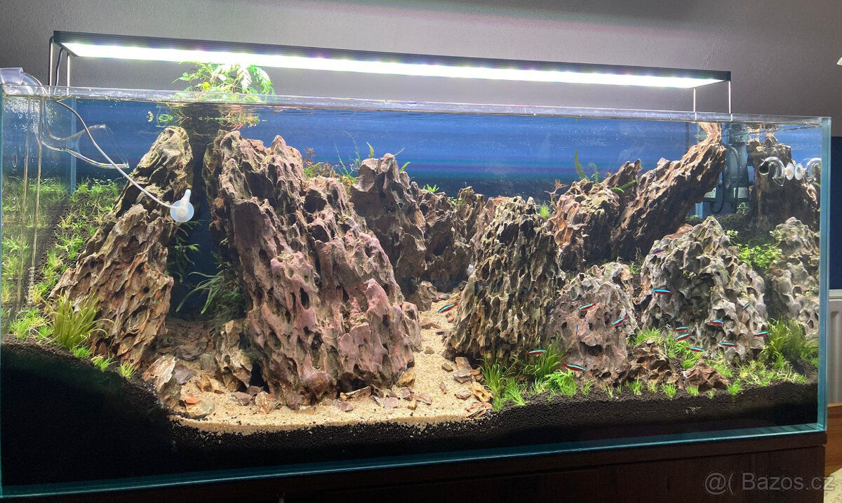 Realizace akvárií na míru – Přírodní, rostlinná i Malawi - 9