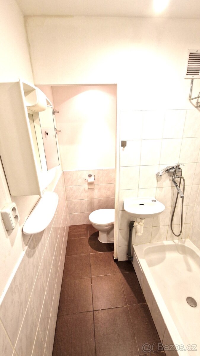 Pronájem - 9