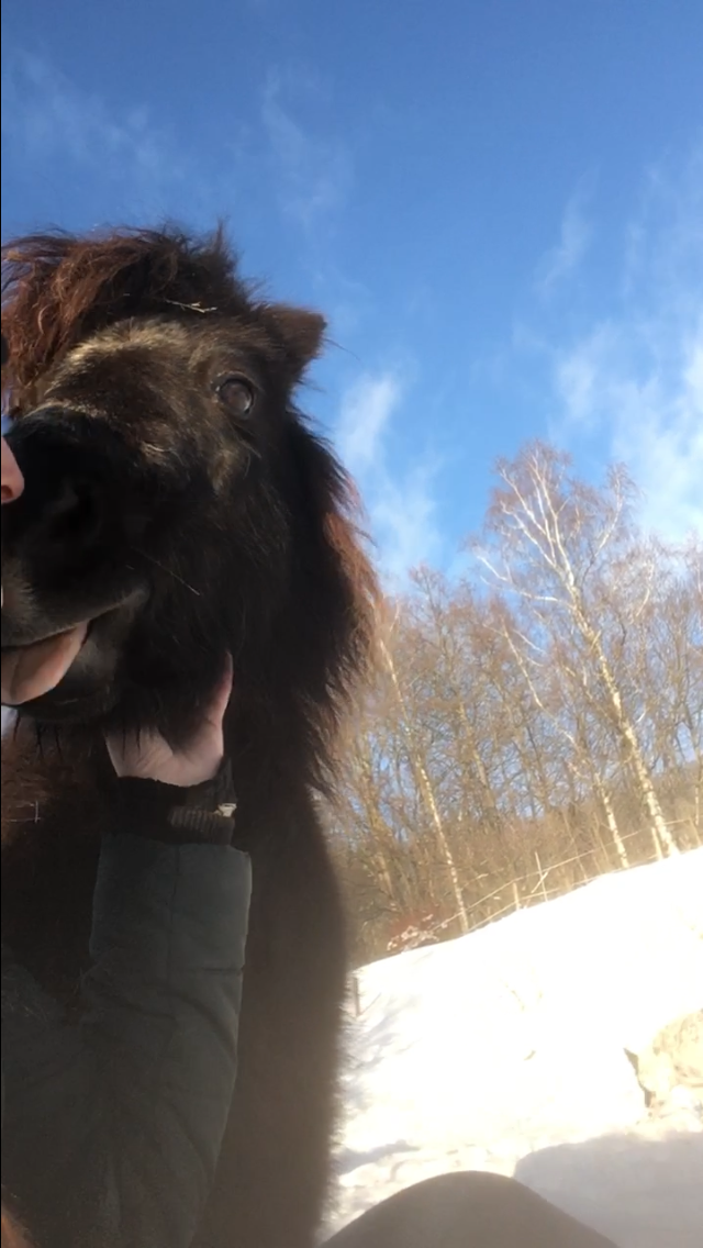 Jedinečný poník - 9