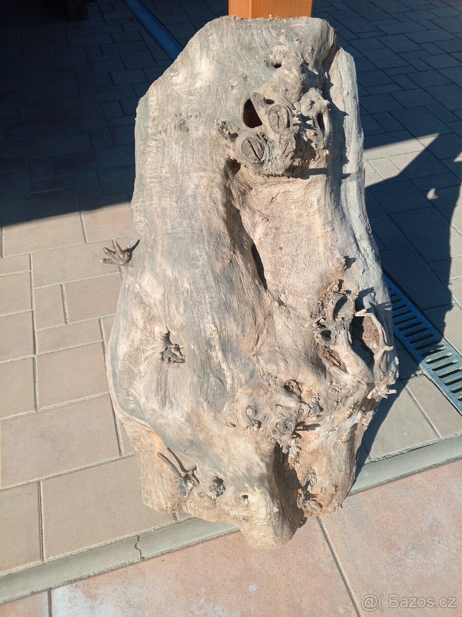 Topolové skořepiny - 9