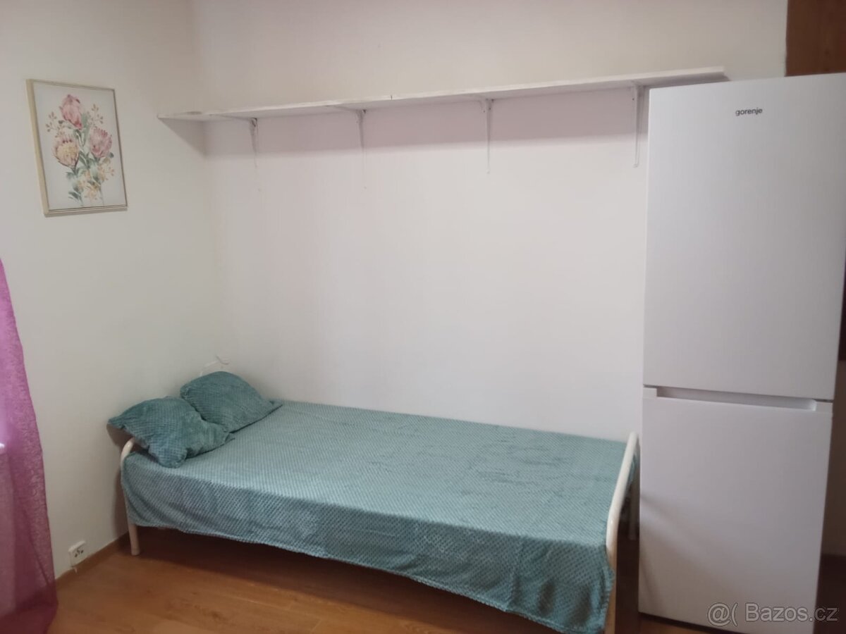 Garsonka nová vybavena - 9