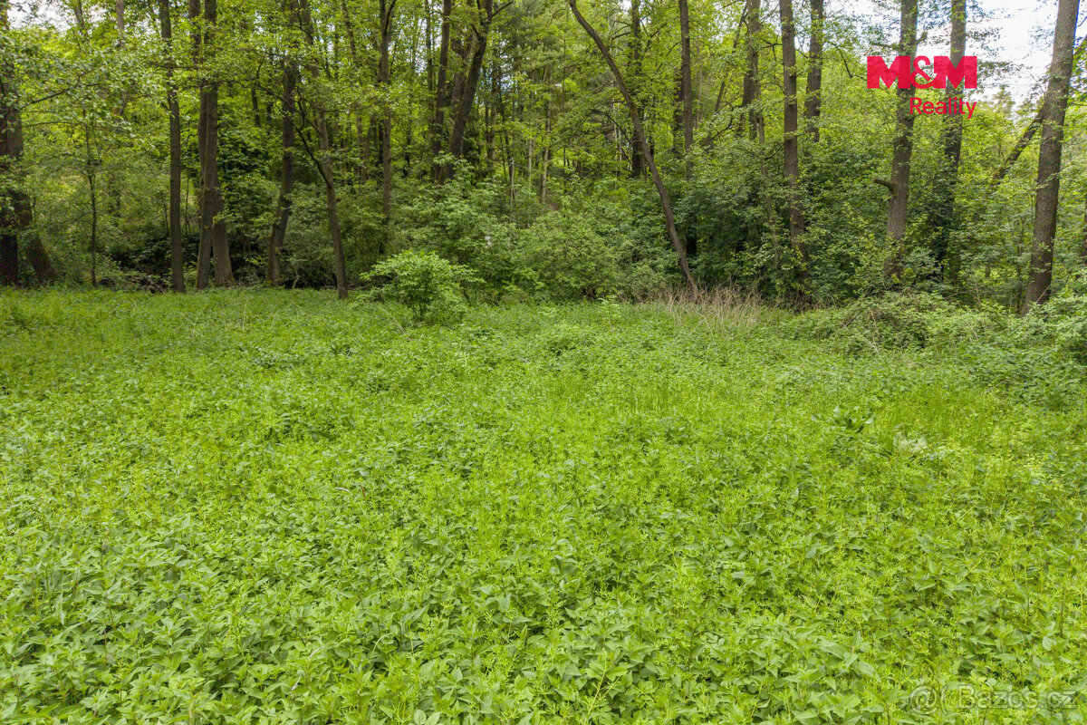 Prodej lesa, 491 m², Bohouňovice I - 9