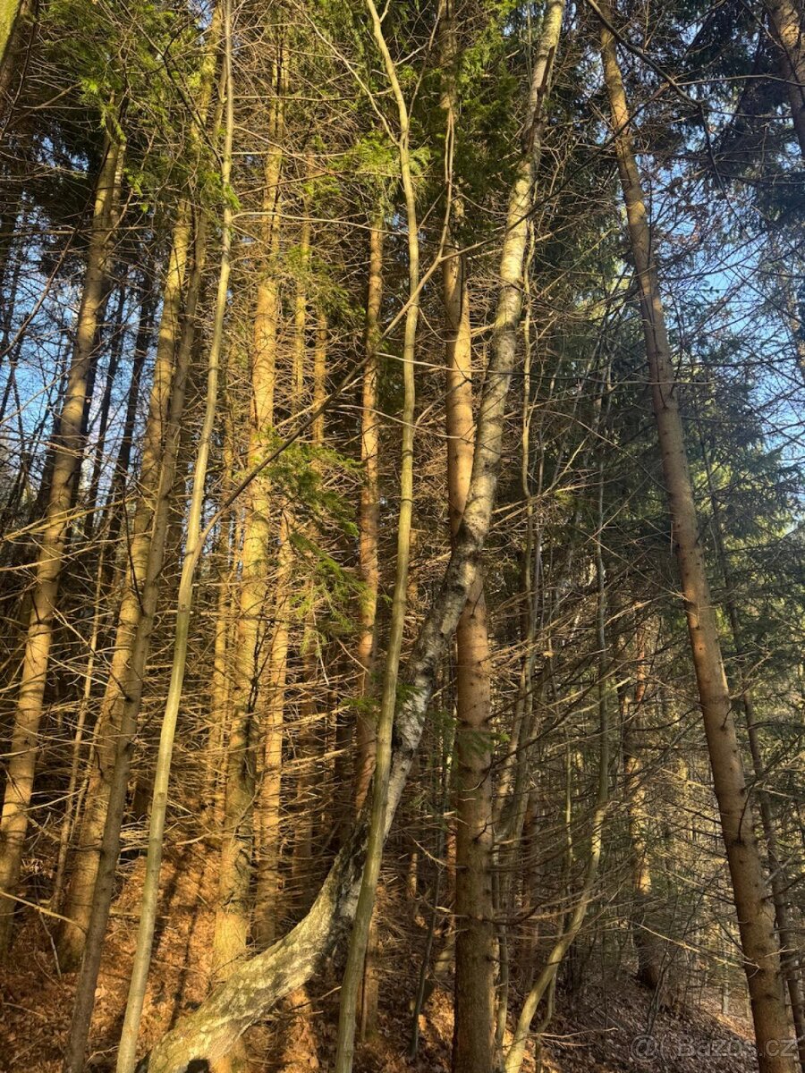 Prodej pozemků k.ú. Huslenky - 9