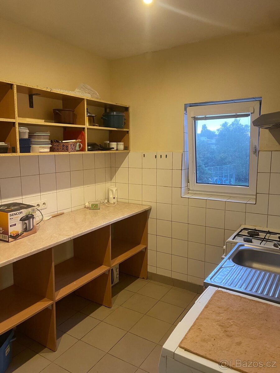 Pronájem rodinných bytových jednotek na ulici Jihlavská – vš - 9