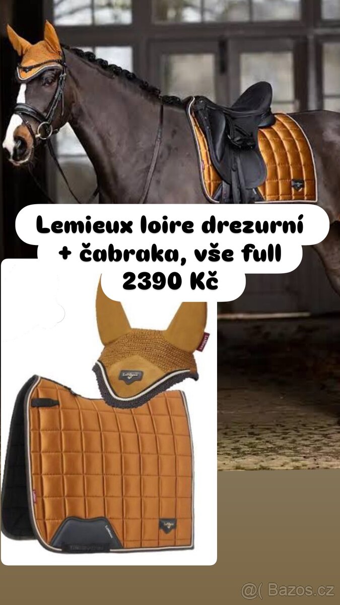 Spousta nových věcí na koně - 9