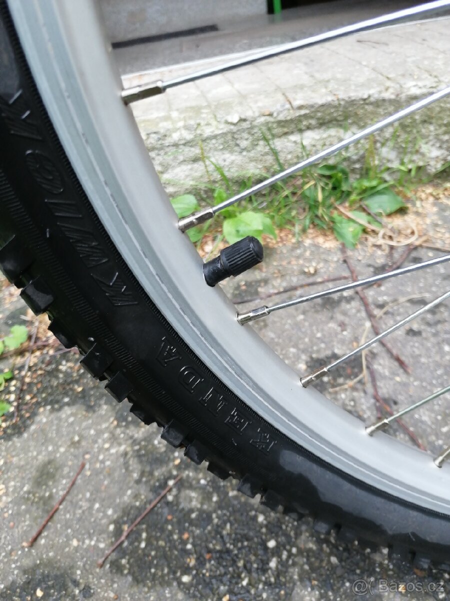 Dívčí kolo "24" - 9