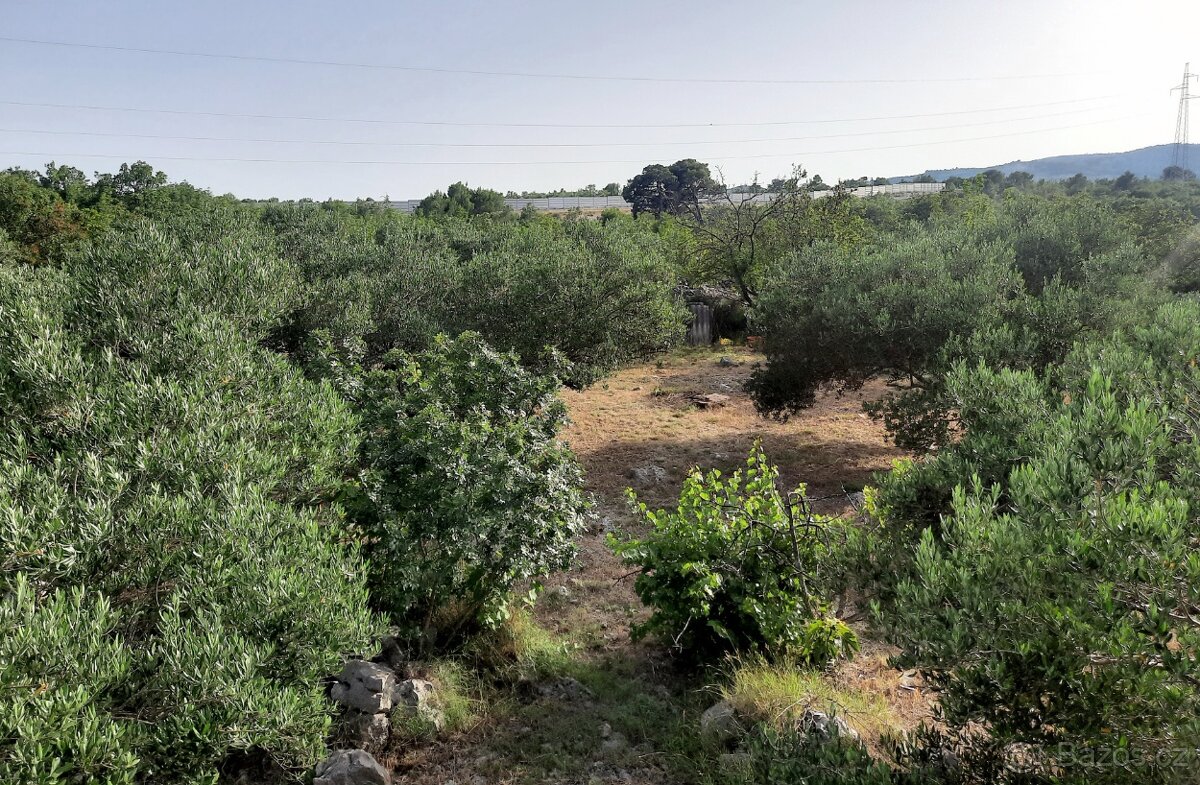 Kamenný dům s olivovým sadem - 9