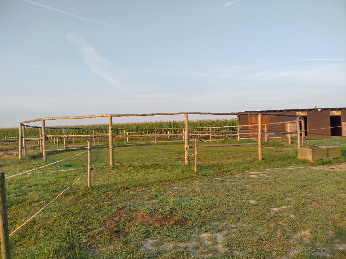 Ustájení koní - 9