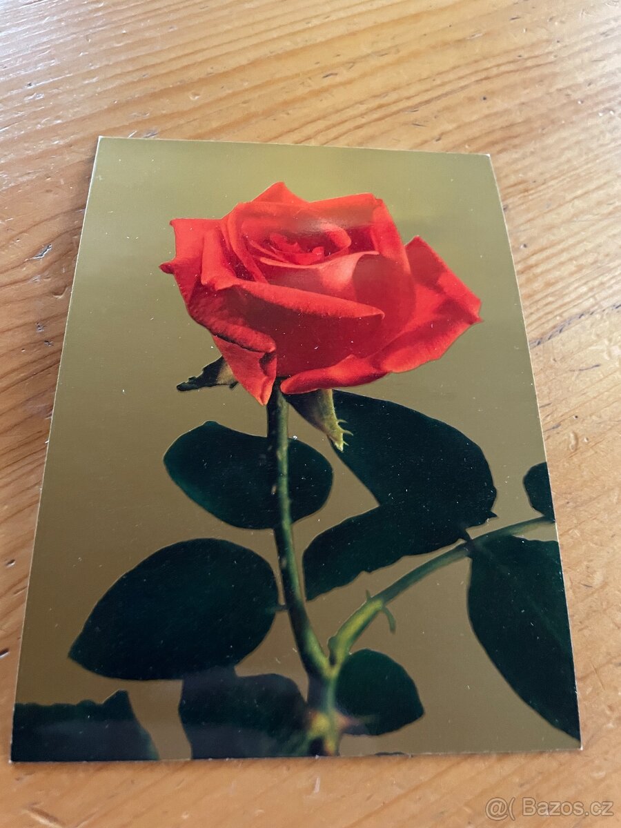 Staré pohlednice - 9