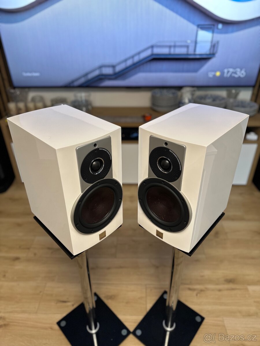 Dali Rubicon 2 - 9