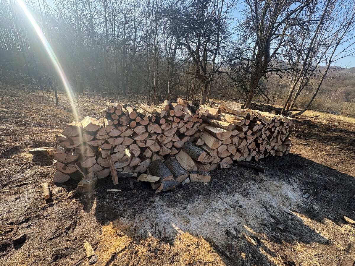 Palivové Dřevo Jasan - 9