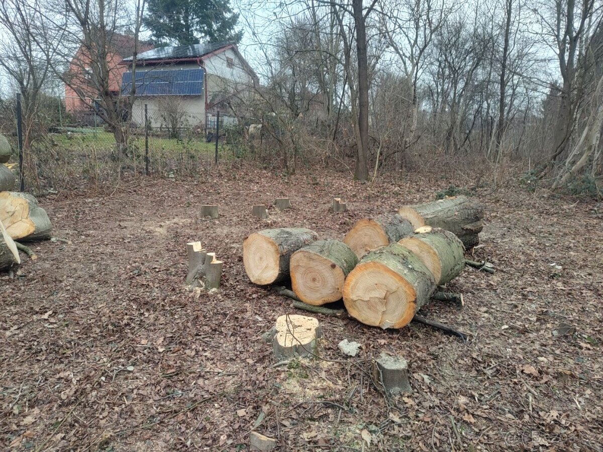 Třešeň - dřevo na uzení - 9