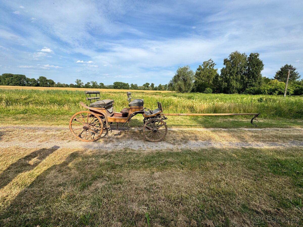 Koňská bryčka - 9