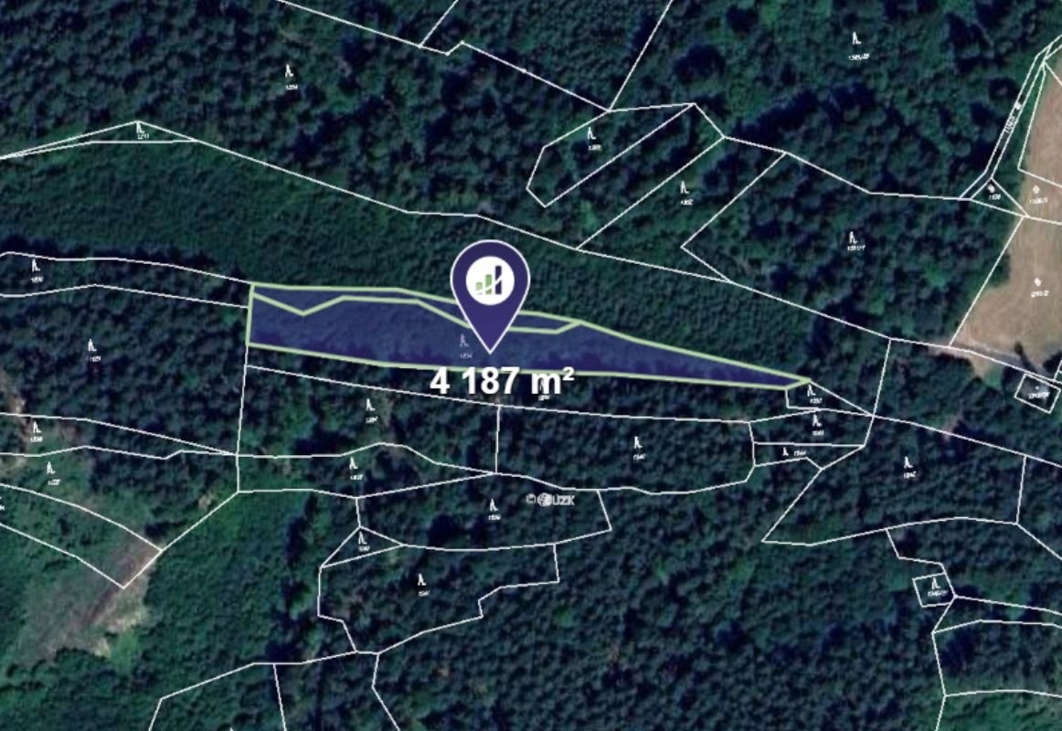 Prodej podílu 1/5 lesa 83 309 m², Prlov - 9