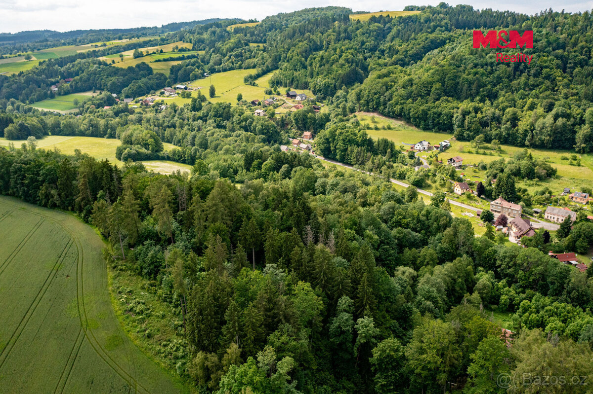 Prodej lesa, 36610 m², Peřimov - 9