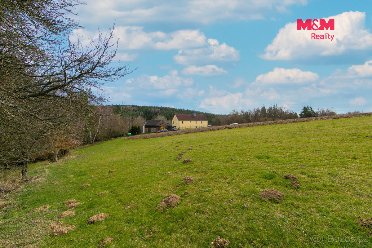 Prodej louky, 4971 m², Krsy - 9
