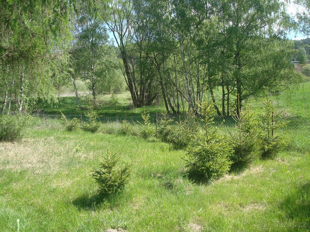 Prodej nebo výměna - 9