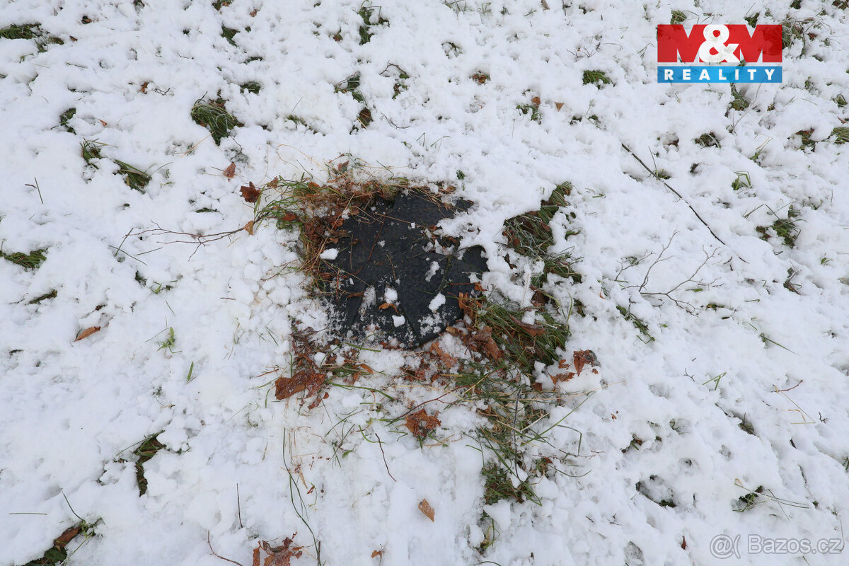 Prodej zahrady, 8163 m², Bernartice - 9