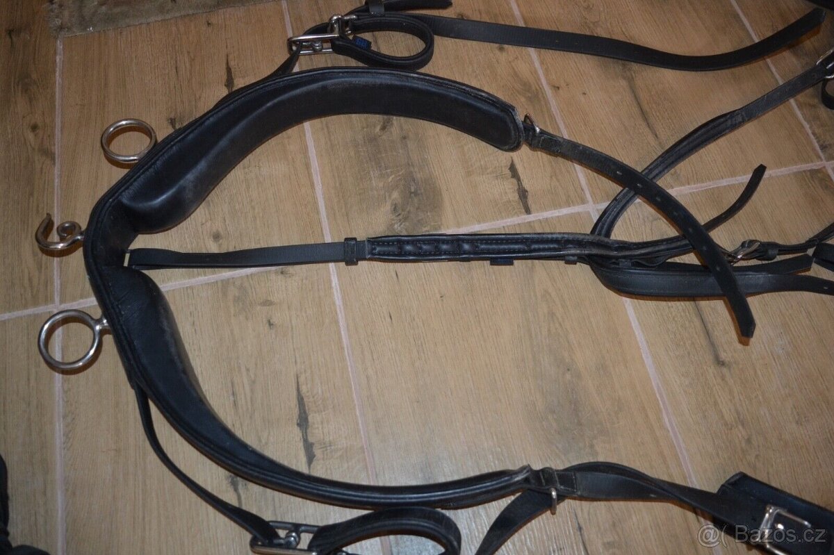 sulka riksa gig dvojkolka jako maratonak/morgan kone popruhy - 9