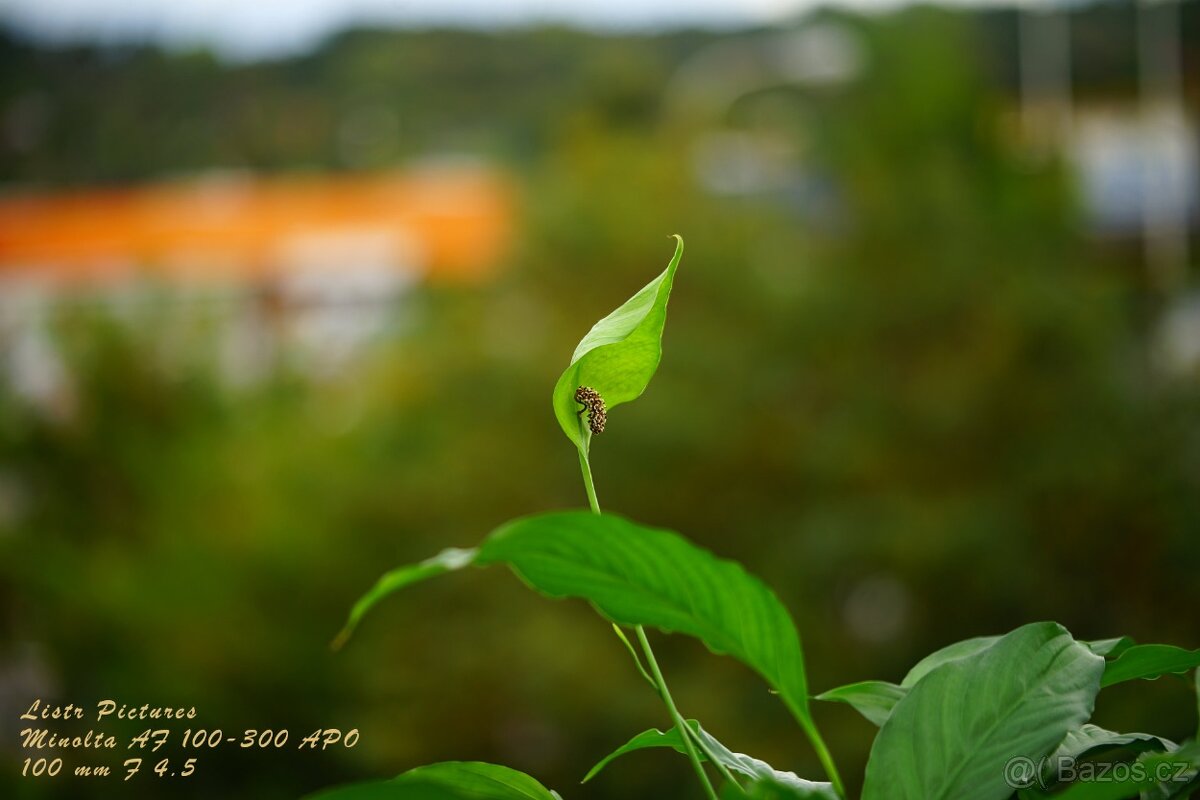 Objektiv Minolta AF 100-300 mm APO - 9