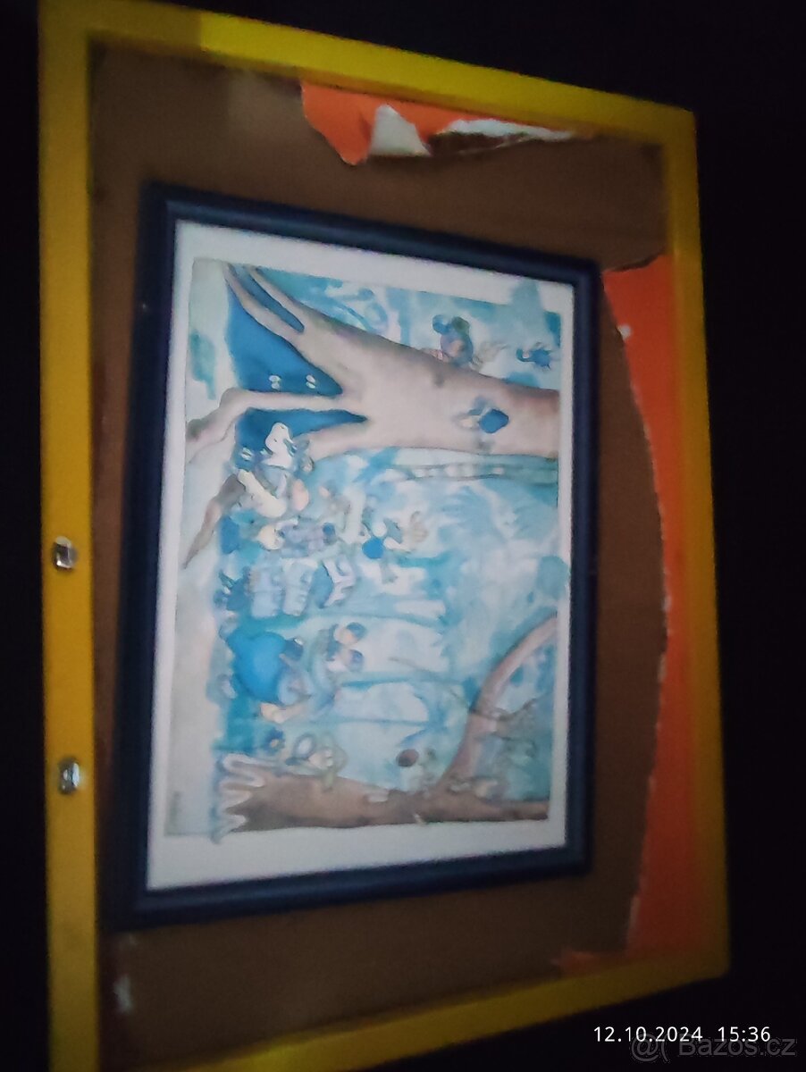 Rámy Obrazů foto velké i malé - 9