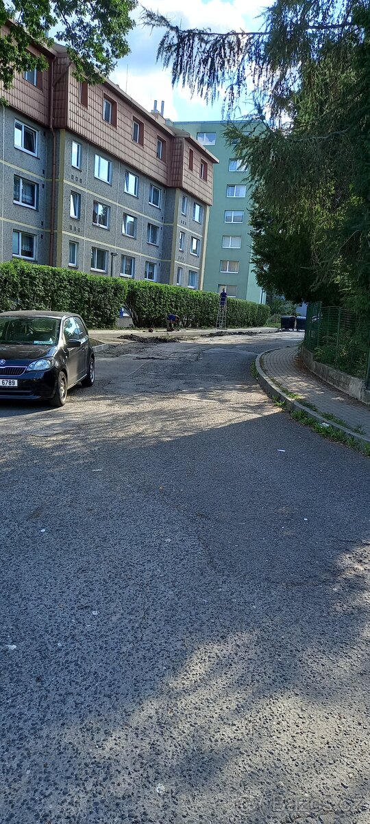 Provádíme - Zahradnické práce - Rizikové kácení - 9