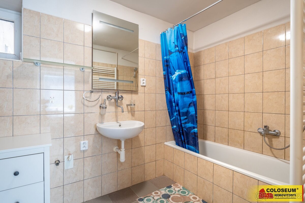 Dolní Kounice, bytový dům, terasa, dílna, sklep – bytový dům - 9