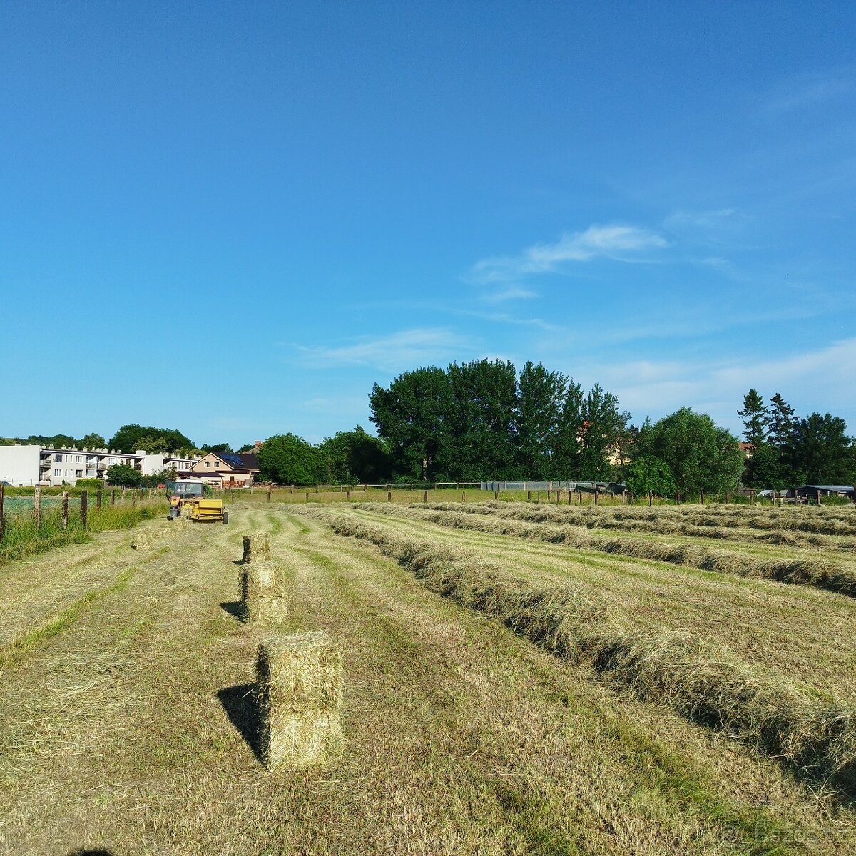 Prodám malé hranaté balíky sena - 9