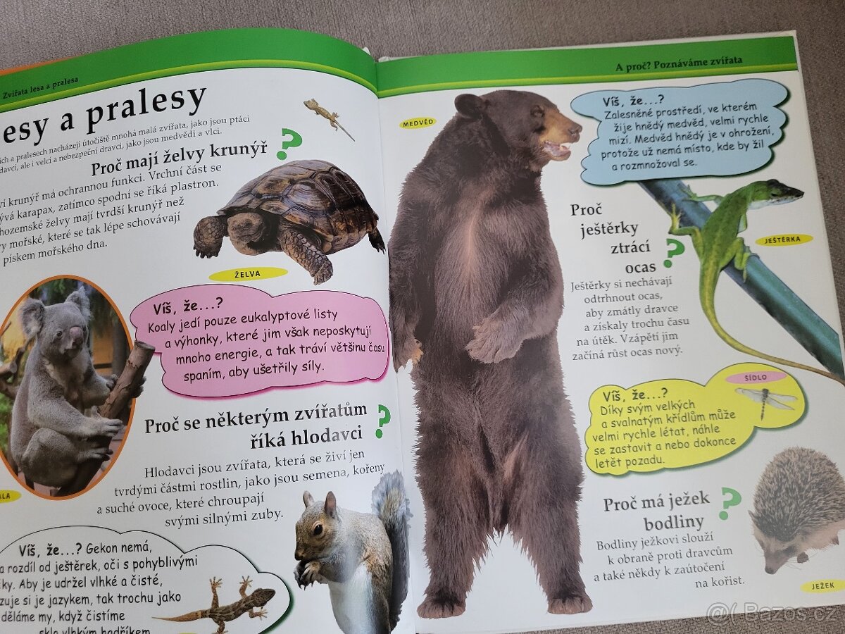 naučné a zábavné pro děti - 9
