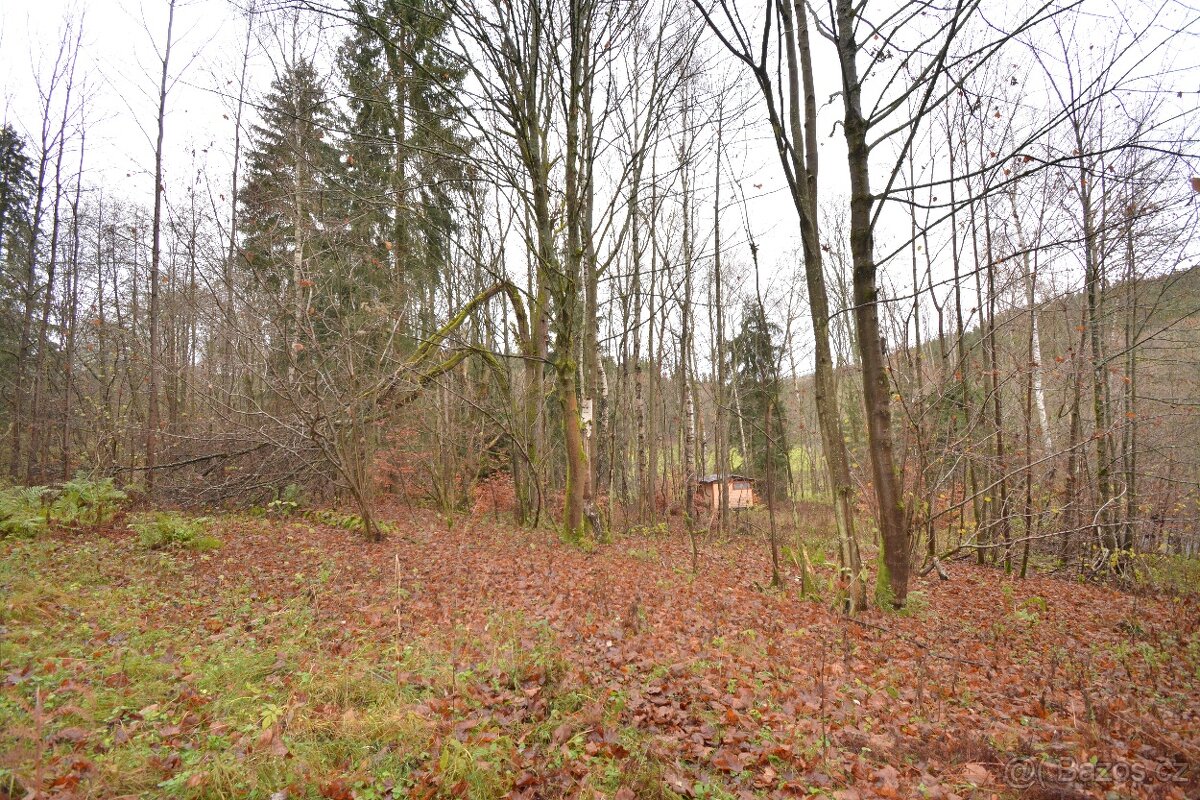 Pozemek Merklín - 9