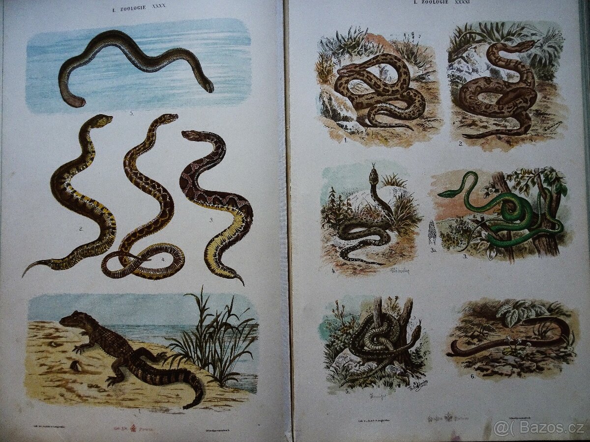 GROSSER HANDATLAS - 9