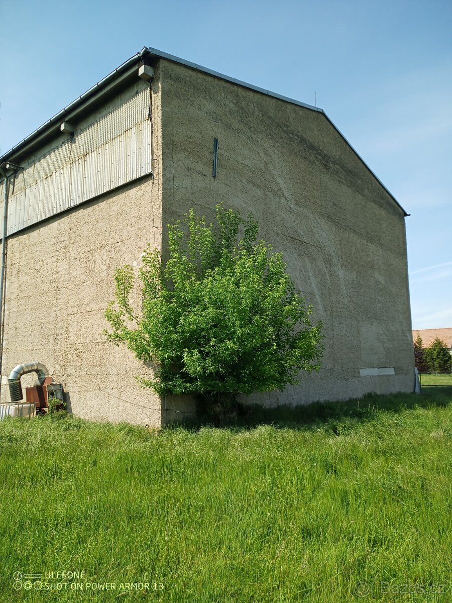Pronájem/prodej výrobní a skladové haly v Dašicích 2500m2 - 9
