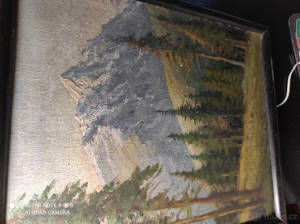 Obraz olej na kartonu - 9