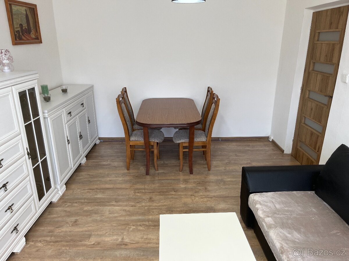 pronájem bytu 2+1 - 9