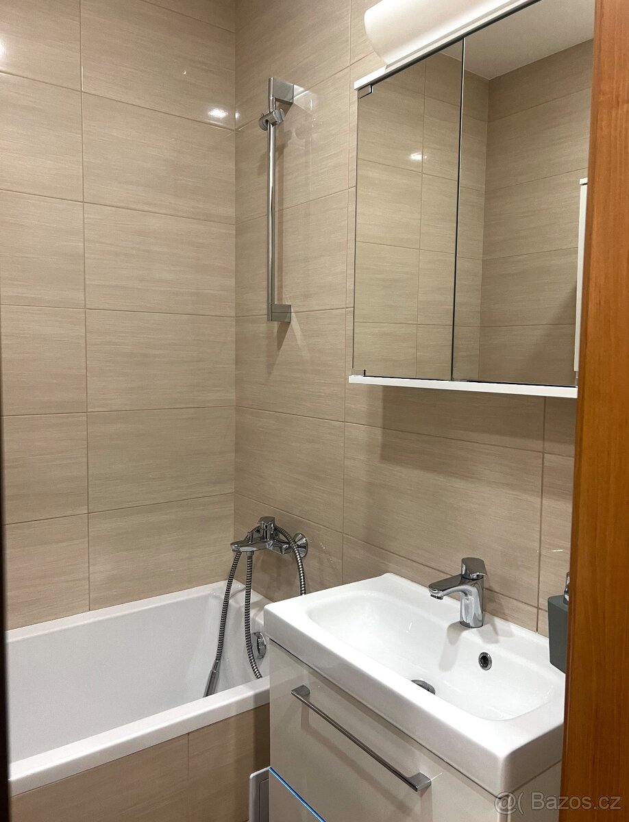 Krásný byt 3+1 Karviná - 9