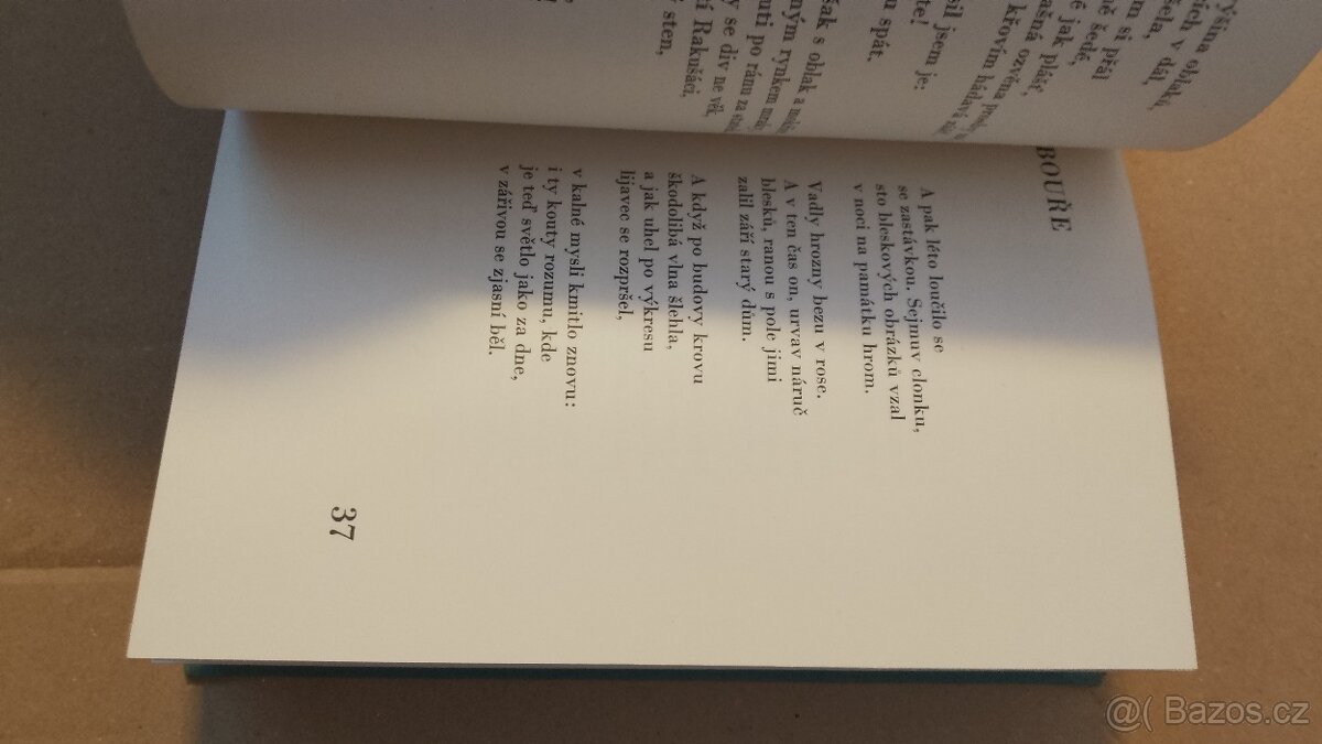 B.Pasternak. Lyrika.Poezie - 9