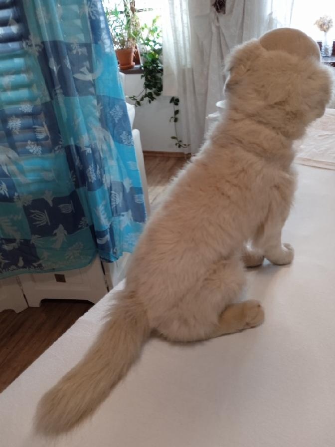 Velké plyšové hračky - 9