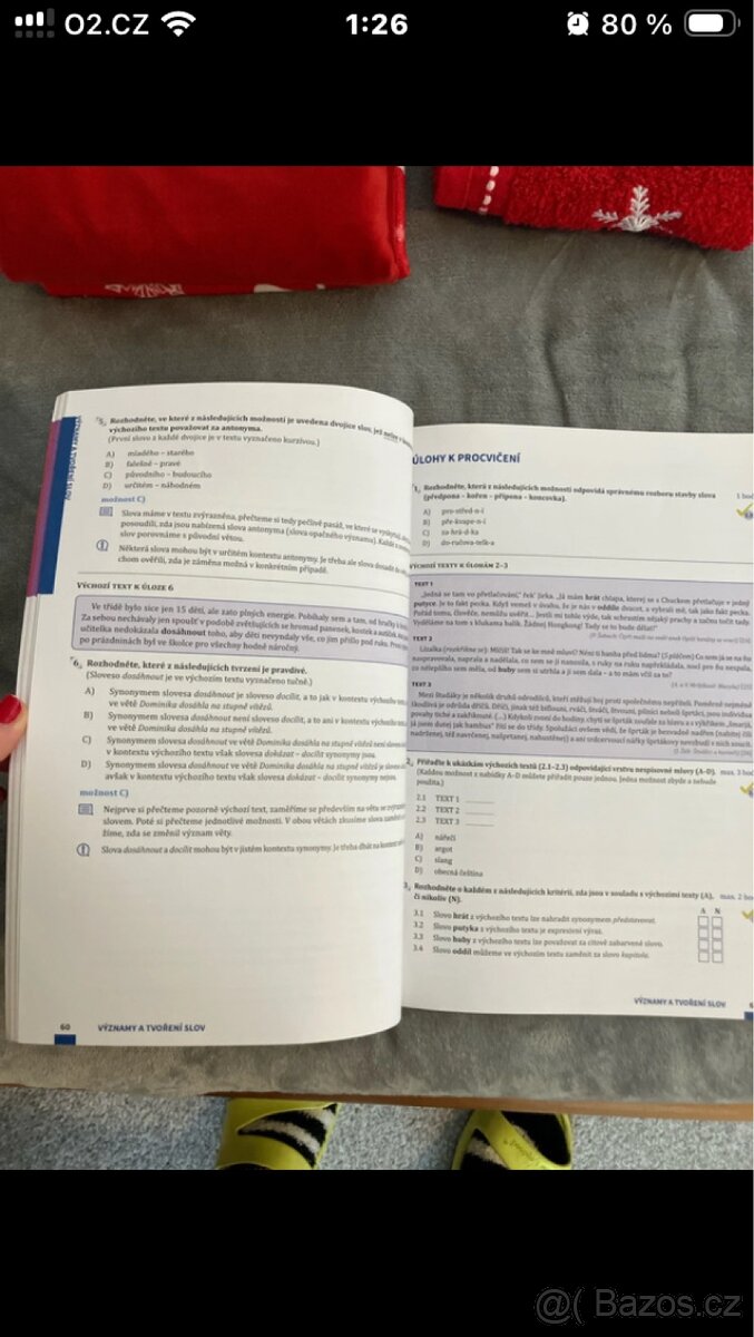 Přijímačky 2025 Český jazyk - 9