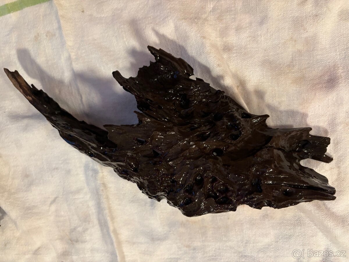 Kořeny do akvária - 9