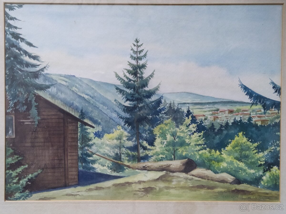 Obraz Akvarelová malba 55×45cm. signová - 9