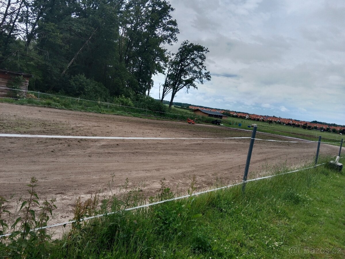 Pastevní ustájení u Pardubic - 9