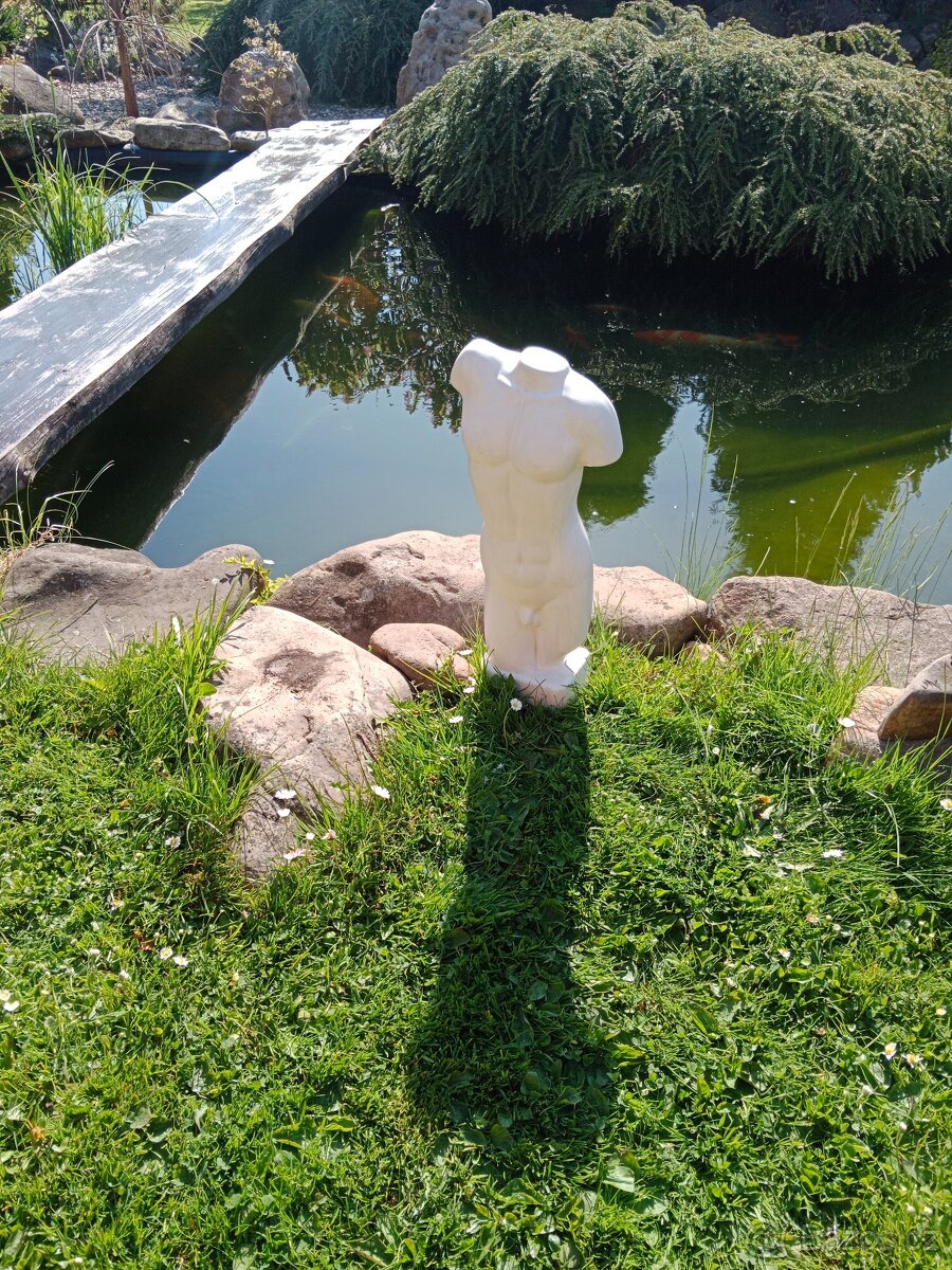 Torzo mužského těla 50 cm - 9